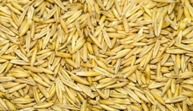 Овес, І тип, 2 клас, колір білий, ДСТУ 4963, 1 кг